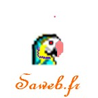 (c) Saweb.fr